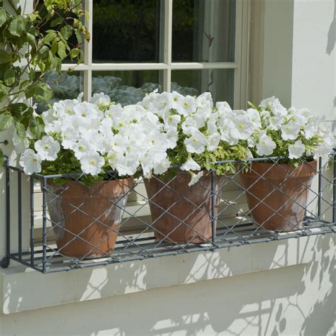 metal window boxes for plants|hanging plants outside window.